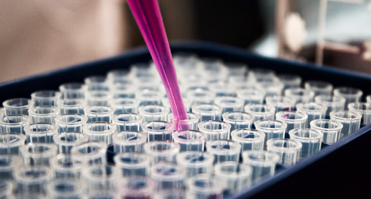 dropper filling a tube with pink liquid in a rack of tubes