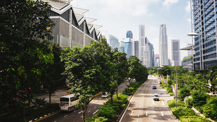 city with greenery